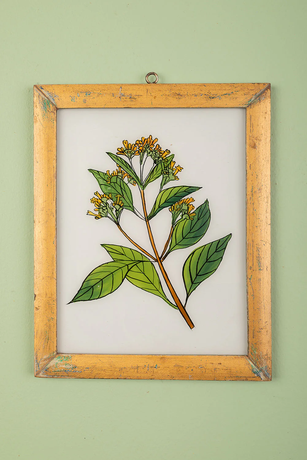 Large Old Wood Frame with Botanical/Wildlife Painting - 555