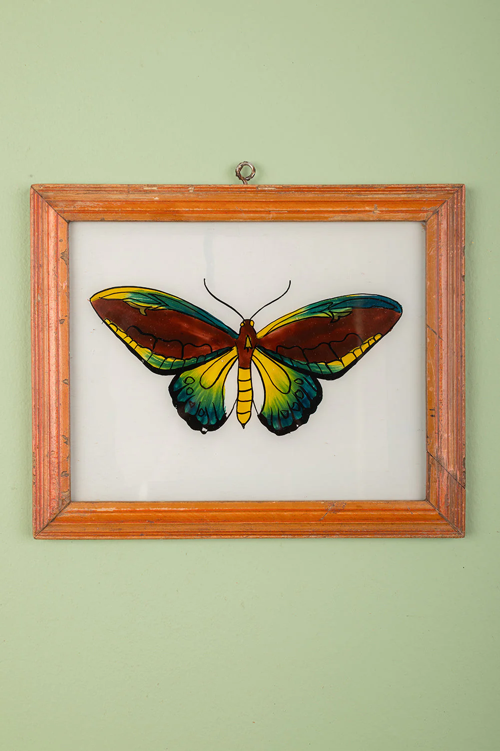 Large Old Wood Frame with Botanical/Wildlife Painting - 570