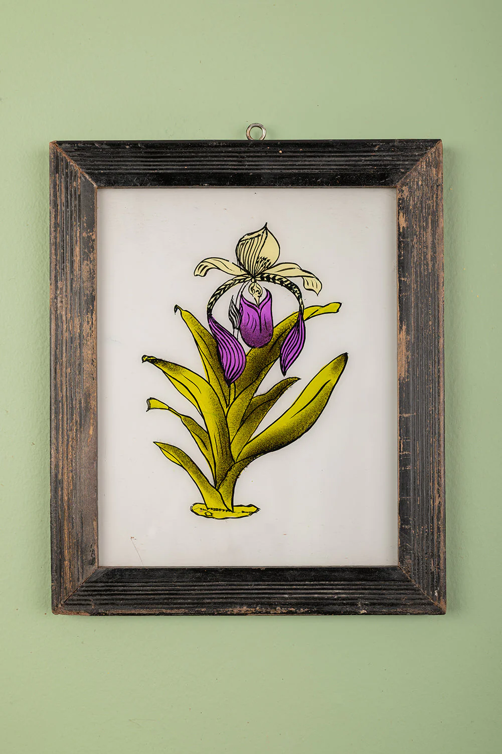 Large Old Wood Frame with Botanical/Wildlife Painting - 580