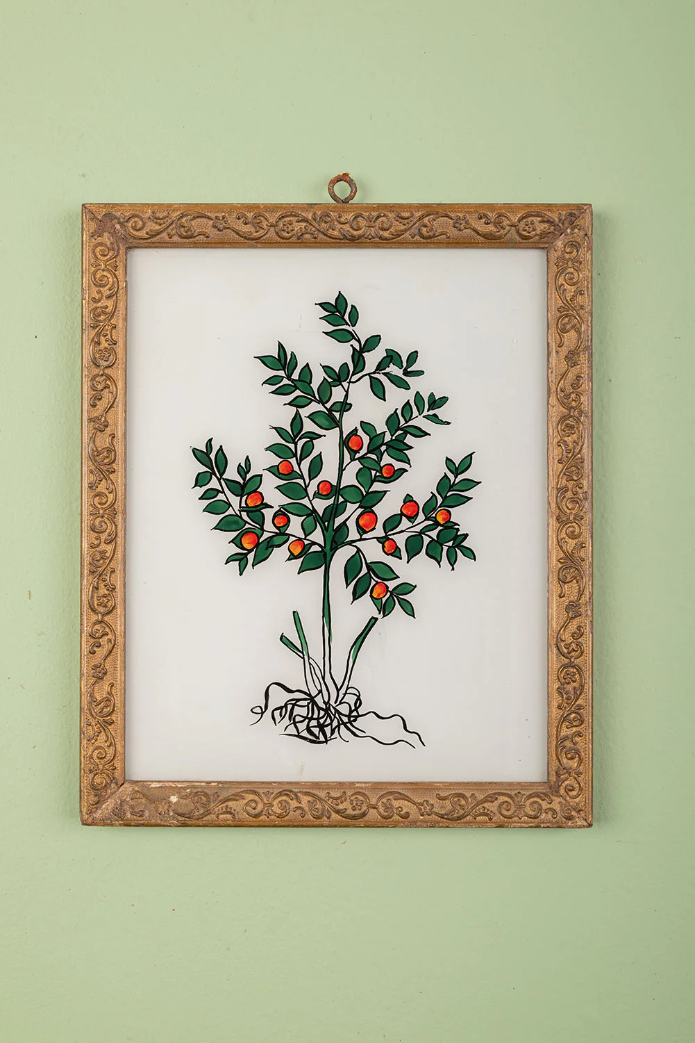 Large Old Wood Frame with Botanical/Wildlife Painting - 584