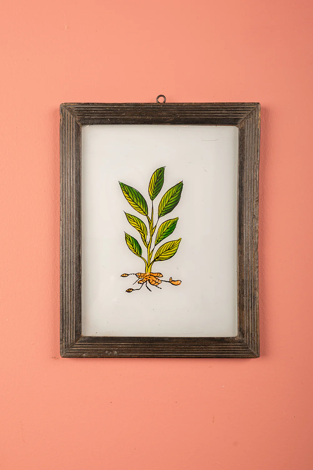 Medium Old Wood Frame with Botanical/Wildlife Painting - 706