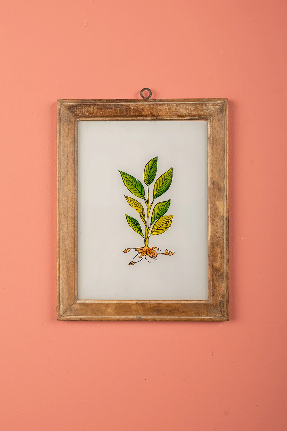Medium Old Wood Frame with Botanical/Wildlife Painting - 716