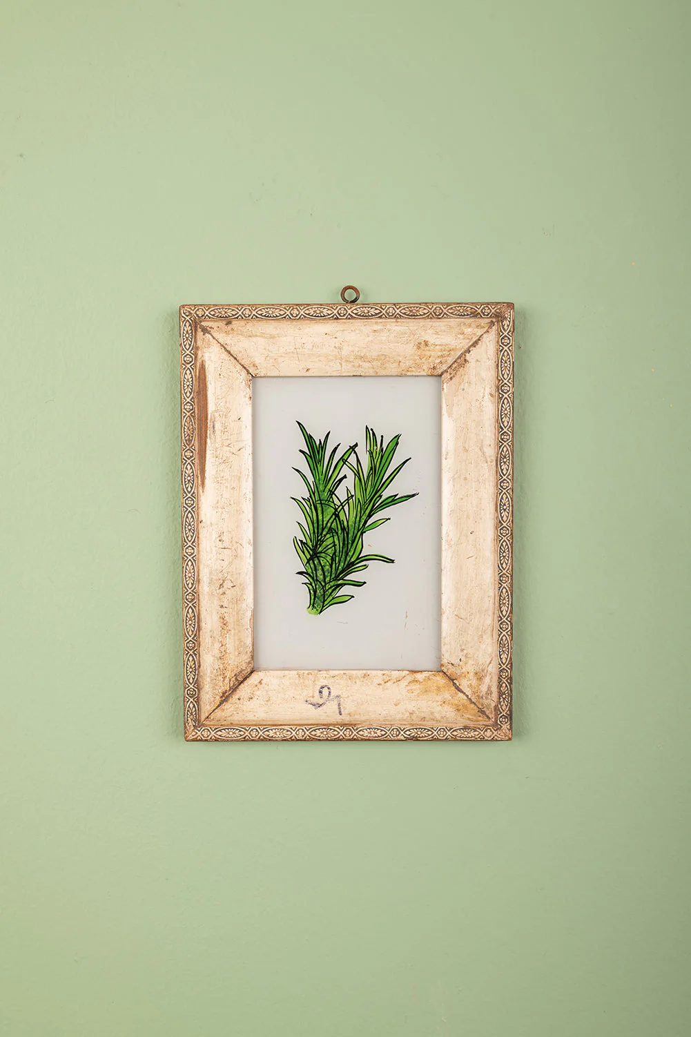 Small Old Wood Frame with Botanical/Wildlife Painting - 556