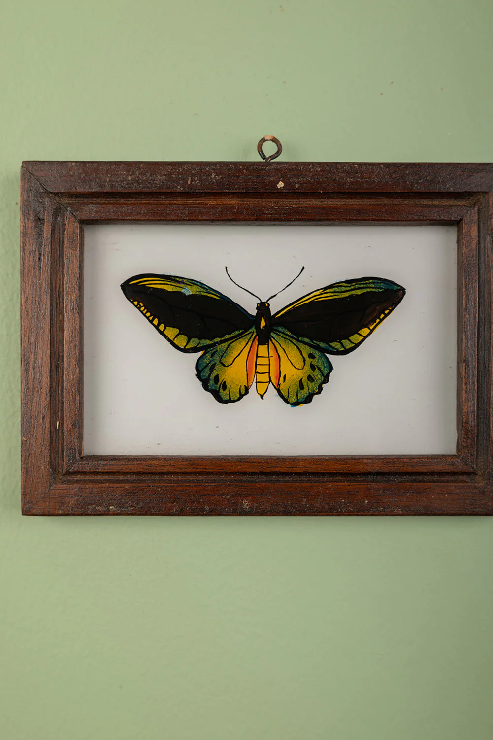 Small Old Wood Frame with Botanical/Wildlife Painting - 566 - Image 2