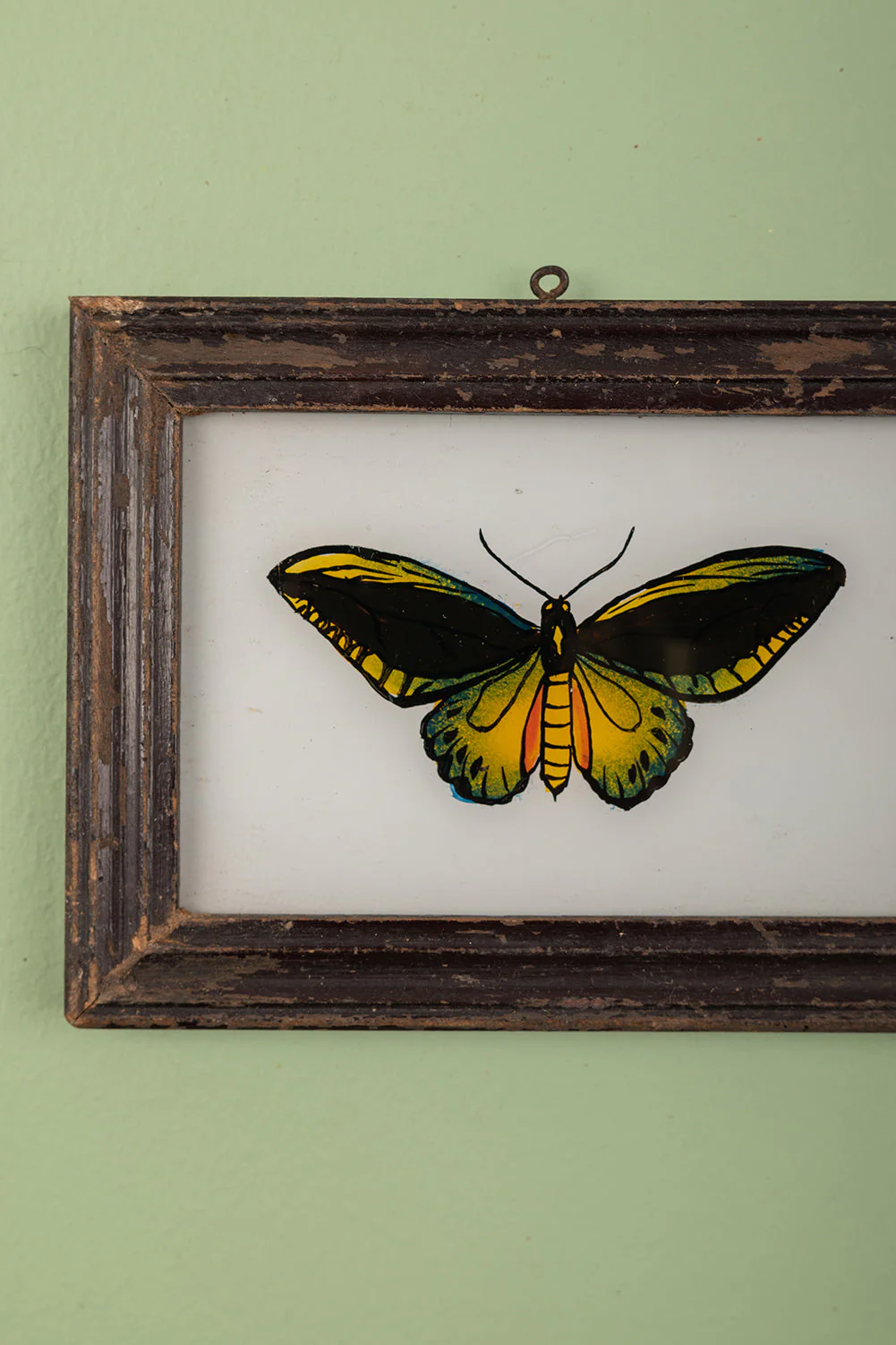 Small Old Wood Frame with Botanical/Wildlife Painting - 577 - Image 2