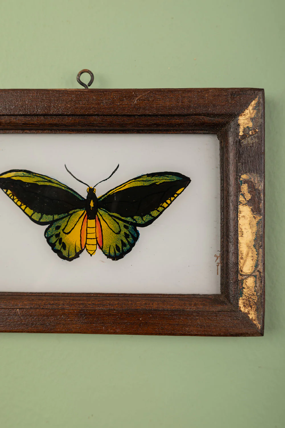 Small Old Wood Frame with Botanical/Wildlife Painting - 592 - Image 2