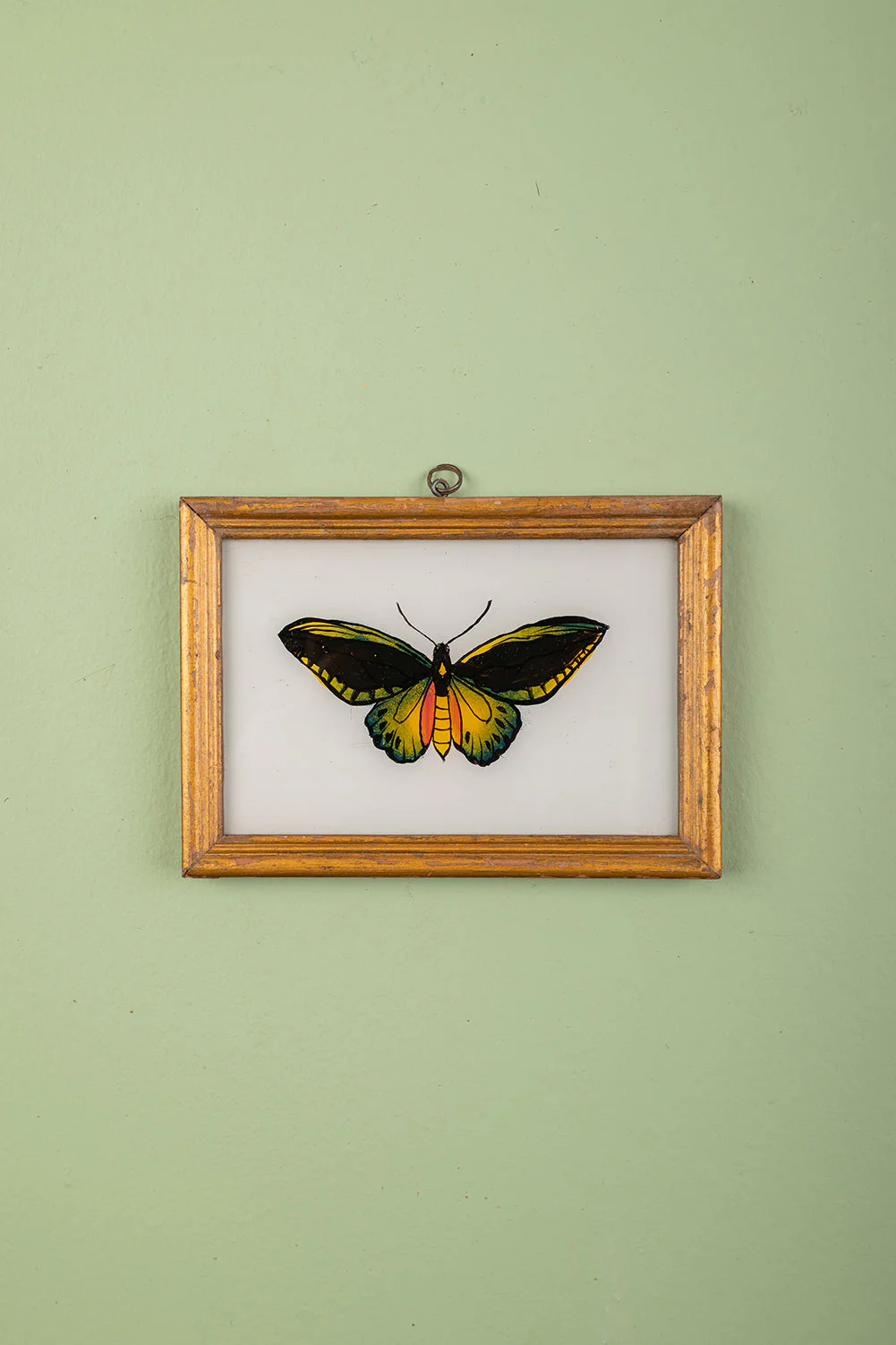 Small Old Wood Frame with Botanical/Wildlife Painting - 601